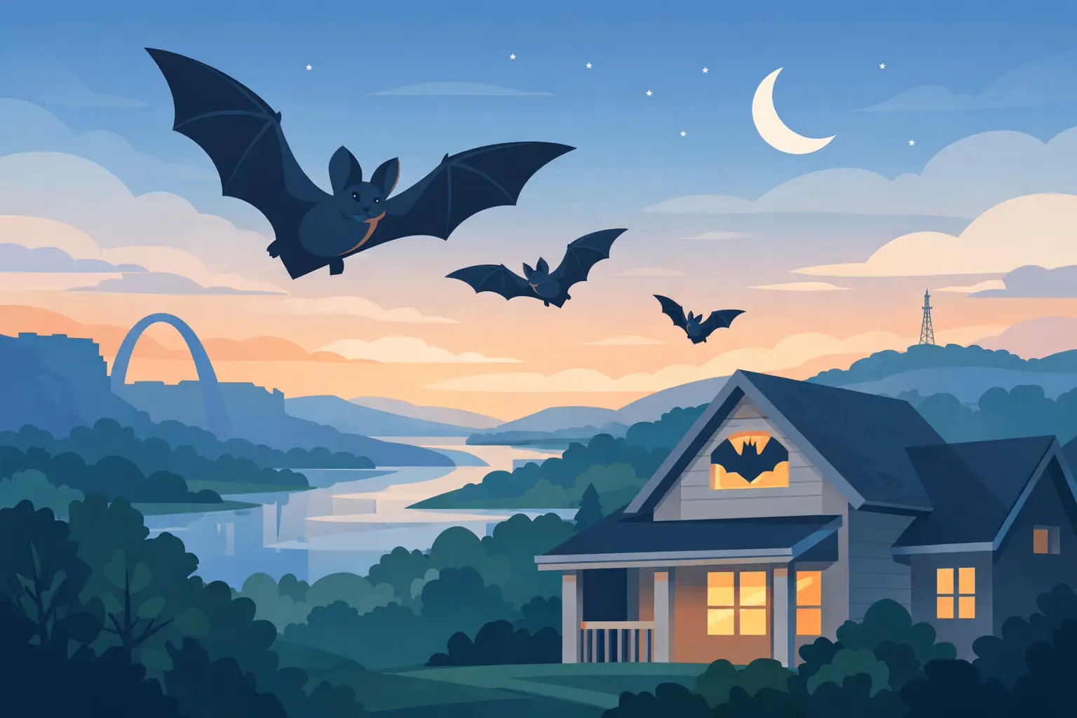 Bat Season in Missouri Guide for Property Owners